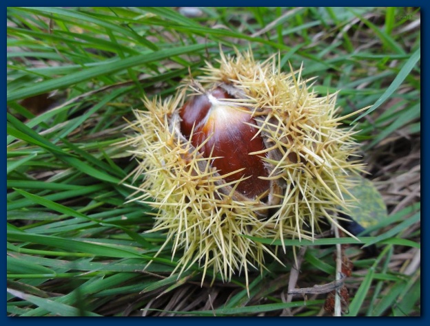 600x449 pixels (138K)